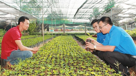 Hợp tác xã thanh niên khởi nghiệp- làn gió mới trong phát triển hợp tác xã (31/7/2019)