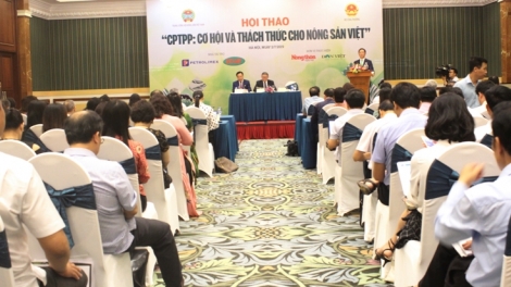 Sân chơi CPTPP và thách thức với nông sản Việt (6/7/2019)