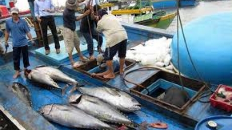 Luật Thủy sản 2017: Cơ hội gỡ thẻ vàng cho thủy sản Việt Nam (3/7/2019)