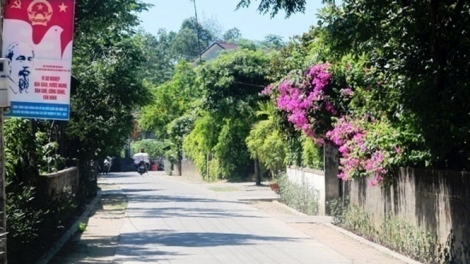 Nâng chất cho nông thôn mới (7/7/2019)