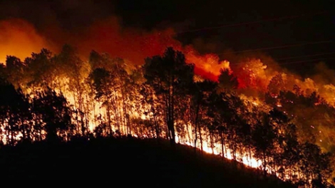 Làm thế nào để ngăn chặn các vụ cháy bùng phát trong tình hình thời tiết cực đoan như hiện nay? (9/7/2019)