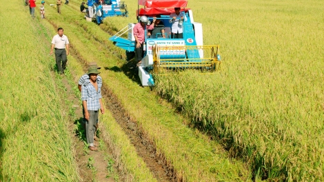 Áp dụng mô hình mới ứng dụng công nghệ trong sản xuất nông nghiệp thích ứng với biến đổi khí hậu (3/7/2019)