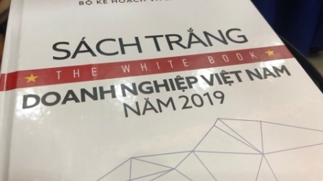 Sách Trắng Doanh nghiệp 2019: “Tài nguyên” đặc biệt! (11/7/2019)
