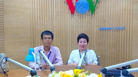Công nghệ thông tin Việt- Nhật có gì hấp dẫn? (14/7/2019)