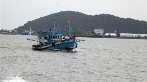 Hoạt động tuần tra kiểm soát nghề cá trên biển của lực lượng kiểm ngư gắn với việc khắc phục thẻ vàng Châu Âu (11/7/2019)
