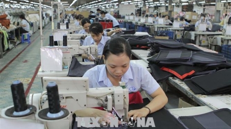 EVFTA và cơ hội quản trị doanh nghiệp, mở rộng thị trường (1/7/2019)