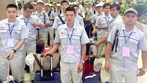 Chương trình đưa lao động thời vụ sang Hàn Quốc làm việc - Cơ hội và những cảnh báo (11/7/2019)
