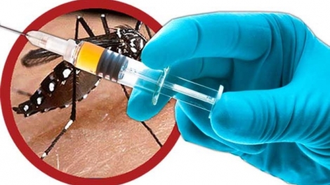 THỜI SỰ 12H TRƯA 27/7/2019: Các nhà khoa học Việt Nam hoàn tất nghiên cứu vacxin sốt xuất huyết, hiện chỉ chờ hội đồng khoa học nghiệm thu và cho lưu hành.