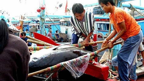 Nghị định 26 đưa Luật Thủy sản vào cuộc sống (22/7/2019)