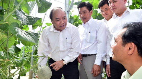 THỜI SỰ 18H00 CHIỀU 21/7/2019: Chính phủ đặt mục tiêu đến năm 2030 có 80.000 đến 100.000 doanh nghiệp có hoạt động đầu tư kinh doanh hiệu quả trong lĩnh vực nông nghiệp