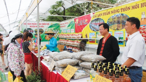 Mô hình mỗi làng một sản phẩm trong xây dựng nông thôn mới (11/7/2019)