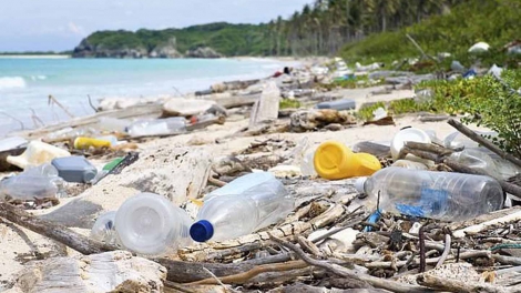 Làm sạch để cuộc sống đáng sống hơn (23/7/2019)