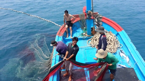 Kinh nghiệm của các nước trong quản lý nghề cá, chống khai thác bất hợp pháp, thiếu bền vững (15/7/2019)