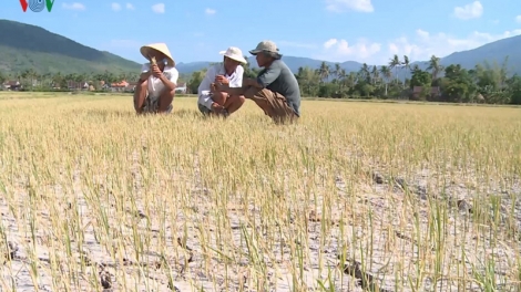 Thừa thiếu nước và câu chuyện quản lý (26/7/2019)