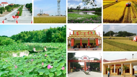 Xây dựng Nông thôn mới như chèo xuồng ngược nước (20/7/2019)