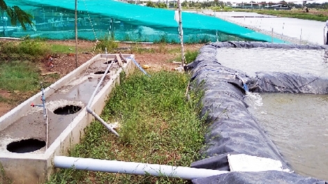 Mô hình xử lý chất thải ao nuôi tôm bằng bể biogas (31/7/2019)