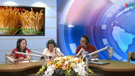 Công dụng của đông trùng hạ thảo với thận (17/8/2019)