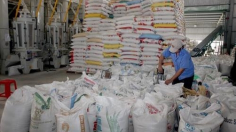 Để việc cắt giảm điều kiện kinh doanh đi vào thực chất (15/8/2019)