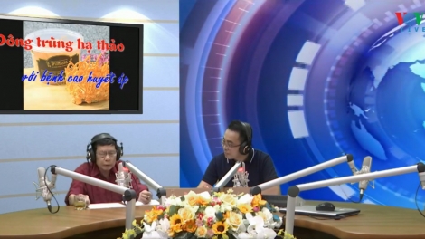 Công dụng của Đông trùng hạ thảo với bệnh cao huyết áp (31/8/2019)