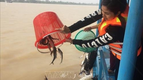 Giải pháp bảo vệ nguồn lợi thủy sản hạn chế hành vi khai thác bất hợp pháp (26/8/2019)