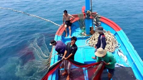 Thúc đẩy minh bạch thông tin trong khai thác thủy sản (7/8/2019)