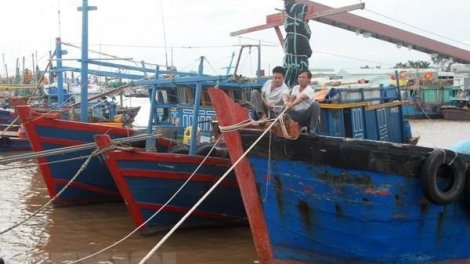 Kiến thức ứng phó với bão và áp thấp nhiệt đới khi đang đánh bắt trên biển (2/8/2019)