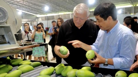 Nhiều cánh cửa mở cho hàng Việt ra nước ngoài (22/8/2019)