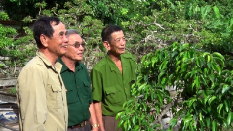 Một số mô hình phát triển kinh tế của cựu chiến binh tỉnh Ninh Bình (12/8/2019)