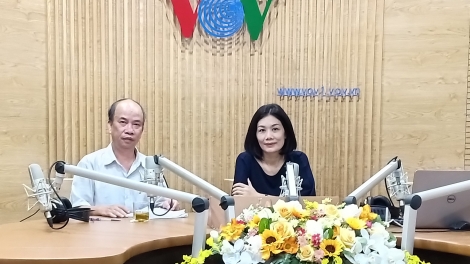Quản lý tàu cá ra vào cảng theo Thông tư 21, Bộ Nông nghiệp và phát triển nông thôn (31/8/2019)