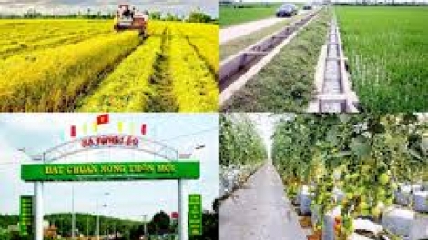 Đẩy mạnh xây dựng nông thôn mới ở khu vực miền núi phía Bắc (10/8/2019)