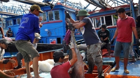Sự vào cuộc của lực lượng chức năng gỡ thẻ vàng của Ủy ban Châu Âu (22/8/2019)