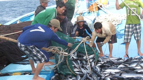 Gỡ thẻ vàng EC, vì một nghề cá có trách nhiệm phát triển bền vững (17/8/2019)