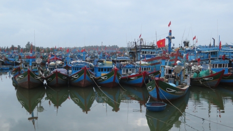 Quảng Ngãi chấm dứt tình trạng đánh bắt hải sản bất hợp pháp (24/8/2019)