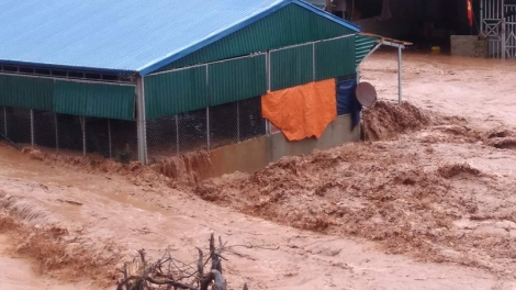THỜI SỰ 18H00 CHIỀU 3/8/2019: Bão số 3 suy yếu thành áp thấp nhiệt đới gây ra những cơn mưa to đến rất to trút xuống các tỉnh, thành phố khu vực Bắc Bộ và Bắc Trung Bộ, gây ngập úng và cô lập nhiều khu vực. Tại Thanh Hóa, 12 người vẫn còn mất tích do bị lũ ống, lũ quét kinh hoàng vào lúc 5 giờ sáng nay