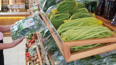 Nâng cao trách nhiệm của chính quyền và ý thức của người chăn nuôi để ngăn chặn có hiệu quả nguy cơ bùng phát dịch cúm gia cầm (5/9/2019)