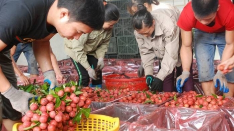 Xuất khẩu hàng hóa nông sản và thủy hải sản sang thị trường Trung Quốc - Cơ hội và thách thức (18/9/2019)