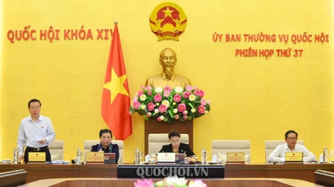 THỜI SỰ 12H TRƯA 10/9/2019: Ủy ban Thường vụ Quốc hội cho ý kiến về dự án Luật Thanh niên (sửa đổi).