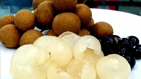 THỜI SỰ 18H00 CHIỀU 6/9/2019: Lô nhãn tươi đầu tiên của Việt Nam đã được nhập khẩu vào thị trường Australia, một trong những thị trường nông sản khó tính hàng đầu thế giới