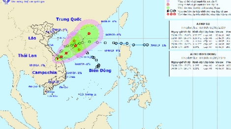 THỜI SỰ 12H TRƯA 3/9/2019: Các địa phương bám sát diễn biến của hai áp thấp nhiệt đới để kịp thời ban hành lệnh cấm biển.