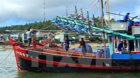 Hiệu quả của mô hình "Tổ đội đánh bắt" thúc đẩy phát triển khai thác hải sản (19/9/2019)