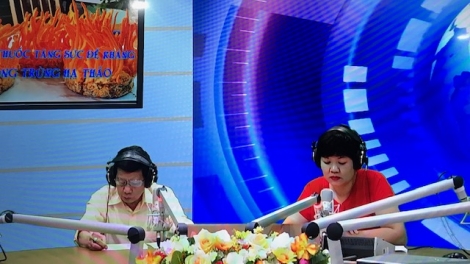 Các bài thuốc quý tăng cường sức đề kháng từ đông trùng hạ thảo (7/9/2019)