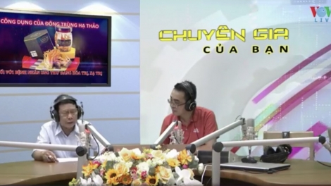 Công dụng của đông trùng hạ thảo với bệnh nhân ung thư đang hóa trị, xạ trị (14/9/2019)