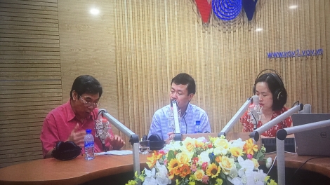 Tái đàn và dự báo nhu cầu thịt lợn dịp cuối năm (29/9/2019)