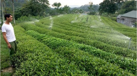 Chuyển giao khoa học kỹ thuật đến nông dân: Làm sao nhanh và "chắc" (24/9/2019)