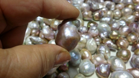 Câu chuyện làm giàu từ hạt cát (14/9/2019)