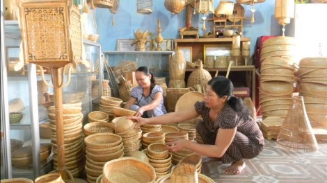 Phát huy vai trò người đứng đầu để Hợp tác xã phát triển (30/9/2019)