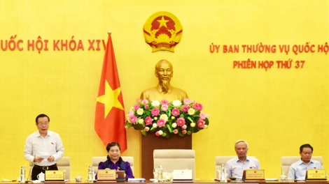 THỜI SỰ 12H TRƯA 13/9/2019: Quốc hội đề nghị làm rõ, cơ quan nào kiểm toán cơ quan Kiểm toán Nhà nước.