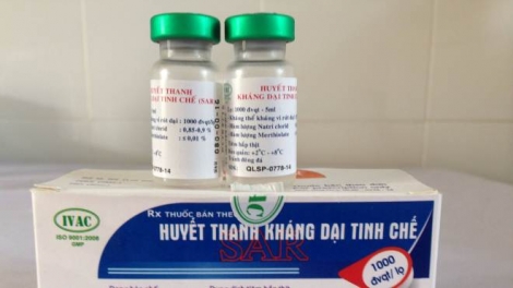 Vì sao thiếu vaccine phòng bệnh dại trên người? (6/9/2019)