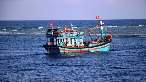 Ngư dân cần thông tin liên lạc với đất liền thế nào để vươn khơi an toàn (9/9/2019)