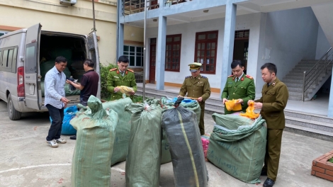 Lực lượng quản lý thị trường bước vào năm 2020 bằng trọng trách mới, tâm thế mới (14/1/2020)